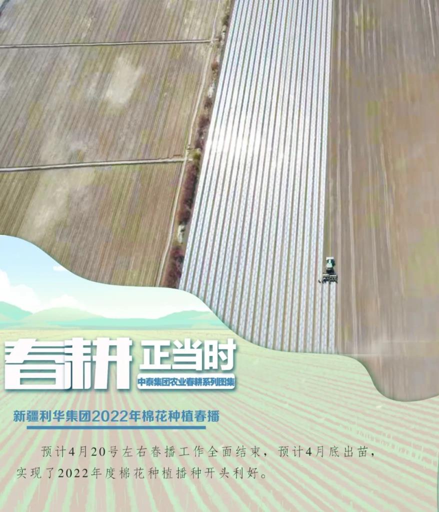 币博286|官网