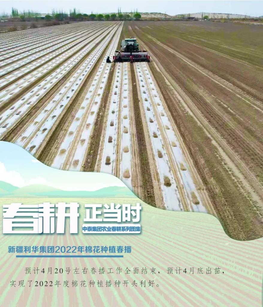 币博286|官网